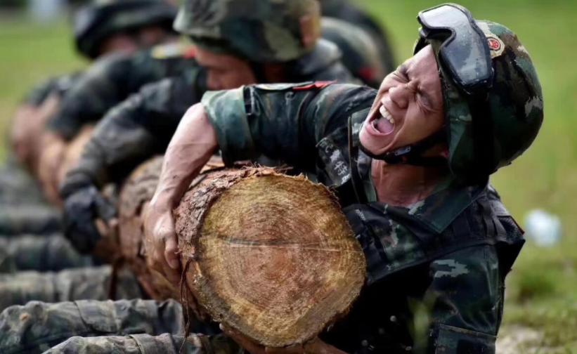 专科生考公务员有机会上岸吗,考公铁饭碗真的那么重要吗