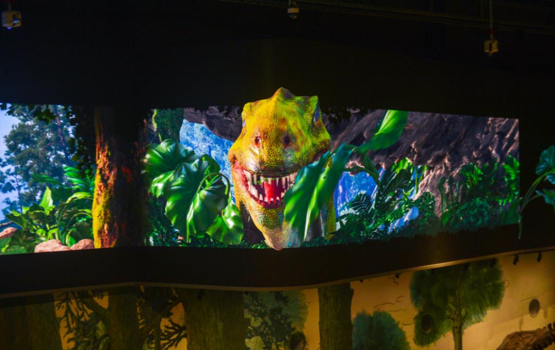 打卡山东博物馆和大明湖,山东博物馆打卡预约