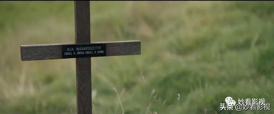 冰岛恐怖羊崽,冰岛羊崽