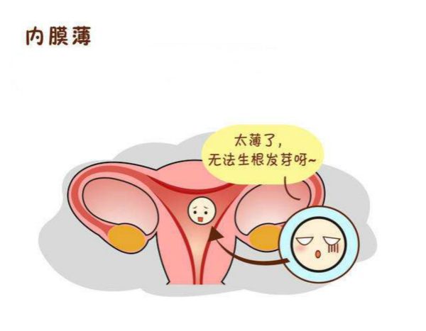 我子宫内膜薄怎么回事,子宫内膜为什么突然变薄