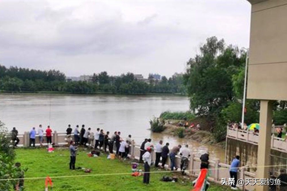 怎么走水钓浮不走漂,遇到走水不好钓鱼怎么办