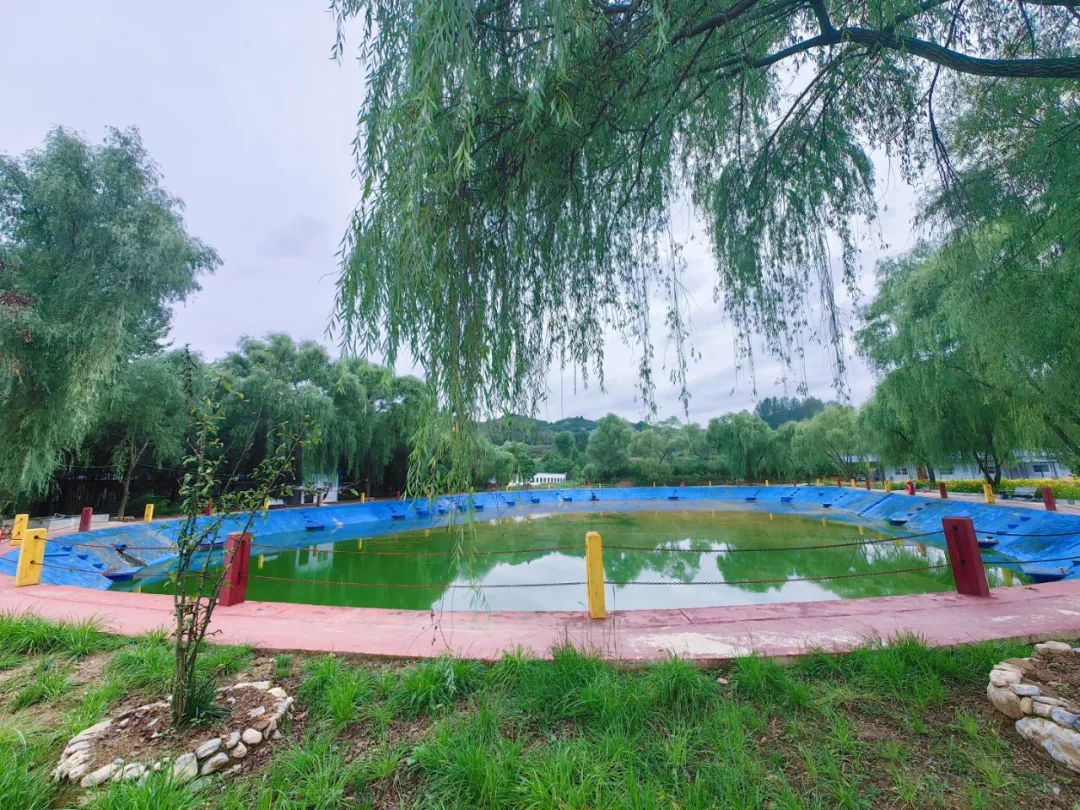 成县红川镇项目建设,多招商引资带动镇经济快速发展