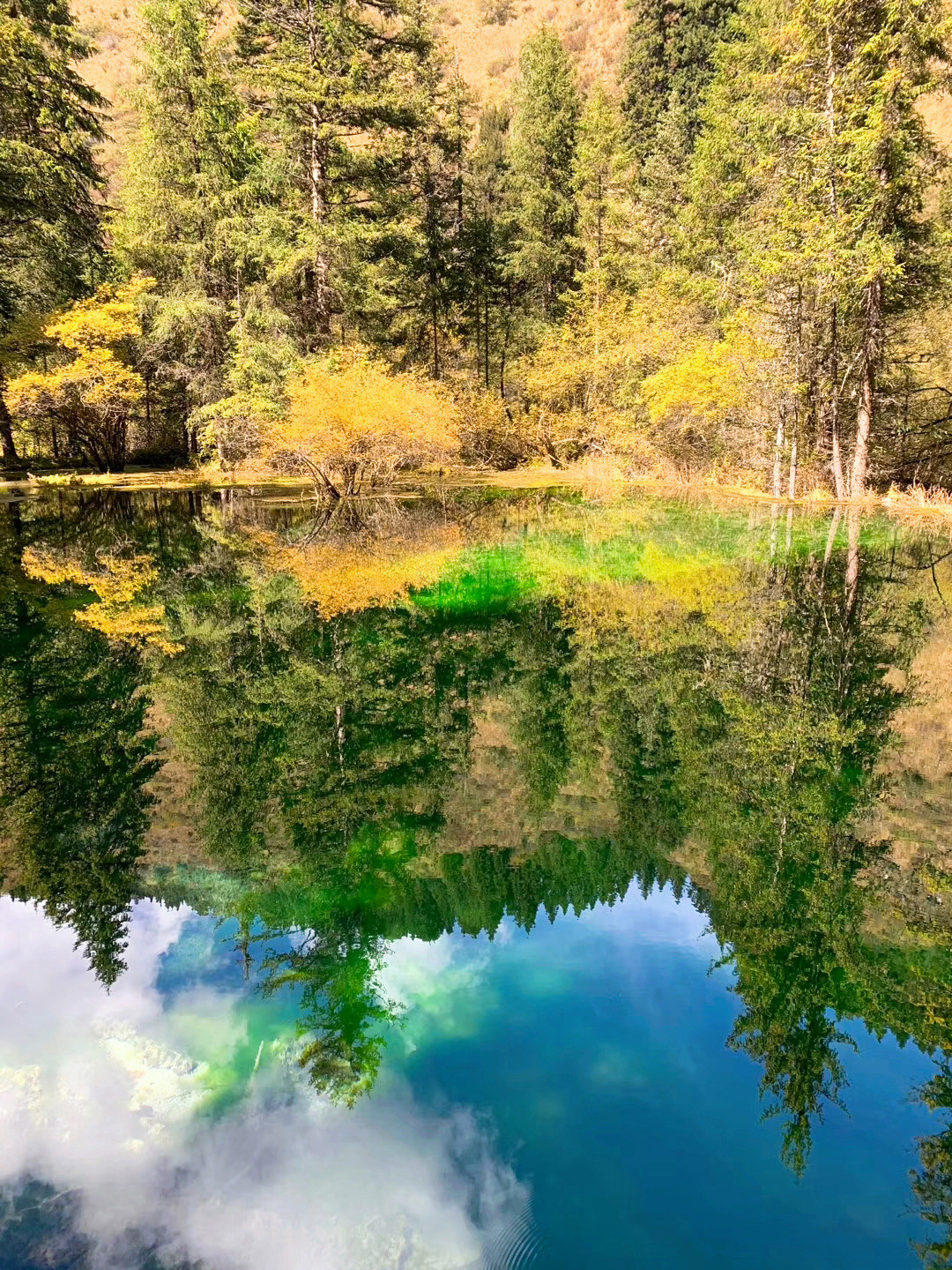 一天来回！别名“小九寨”的油画秋色、高山草甸，一站式游玩到底