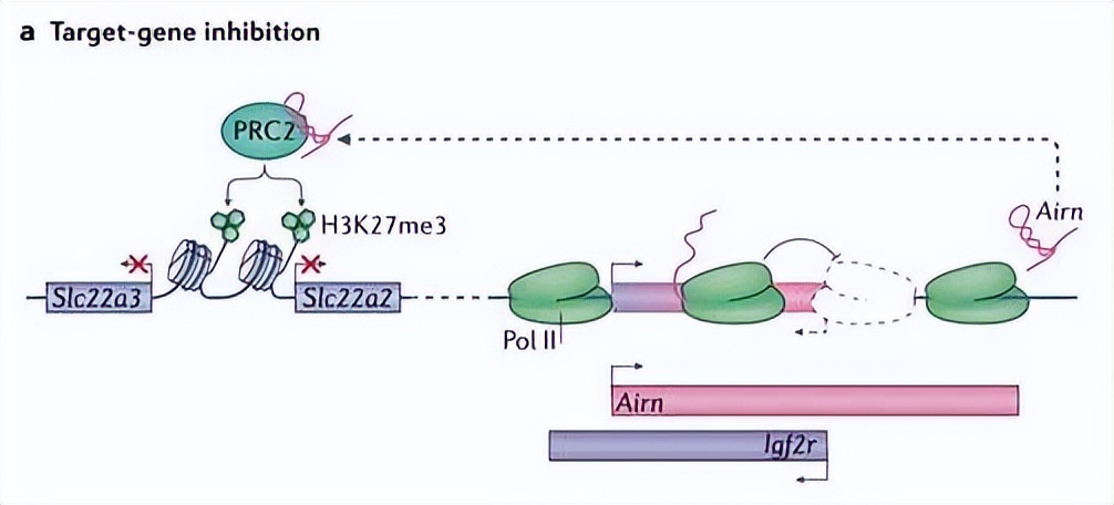 nature最新论文,nature论文最新发现
