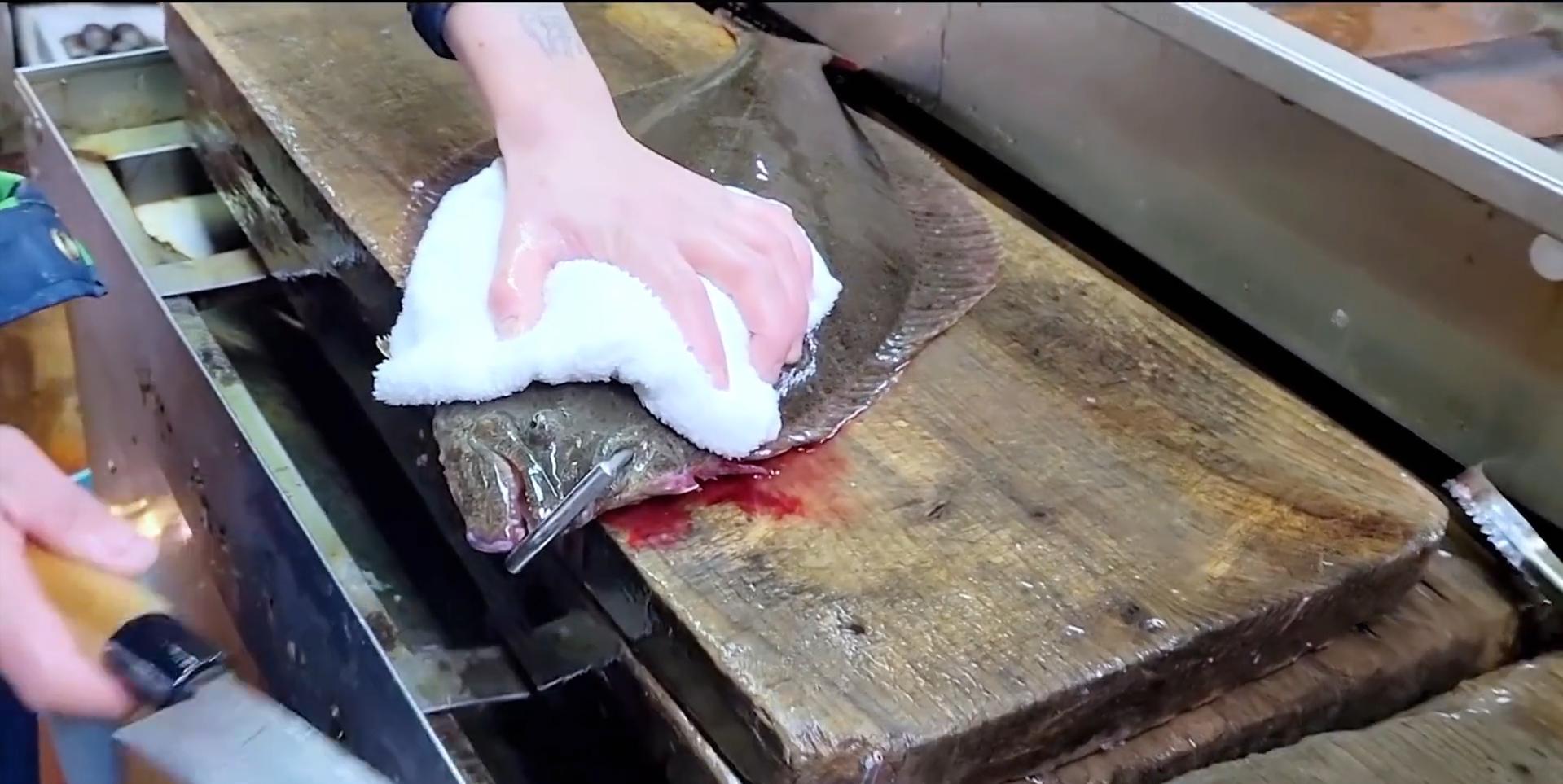 日本最残酷的杀鱼方式,日本人杀鱼绝招
