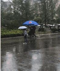 昨晚上喝多了把这个扛回了家，现在酒醒了，我该怎么办？