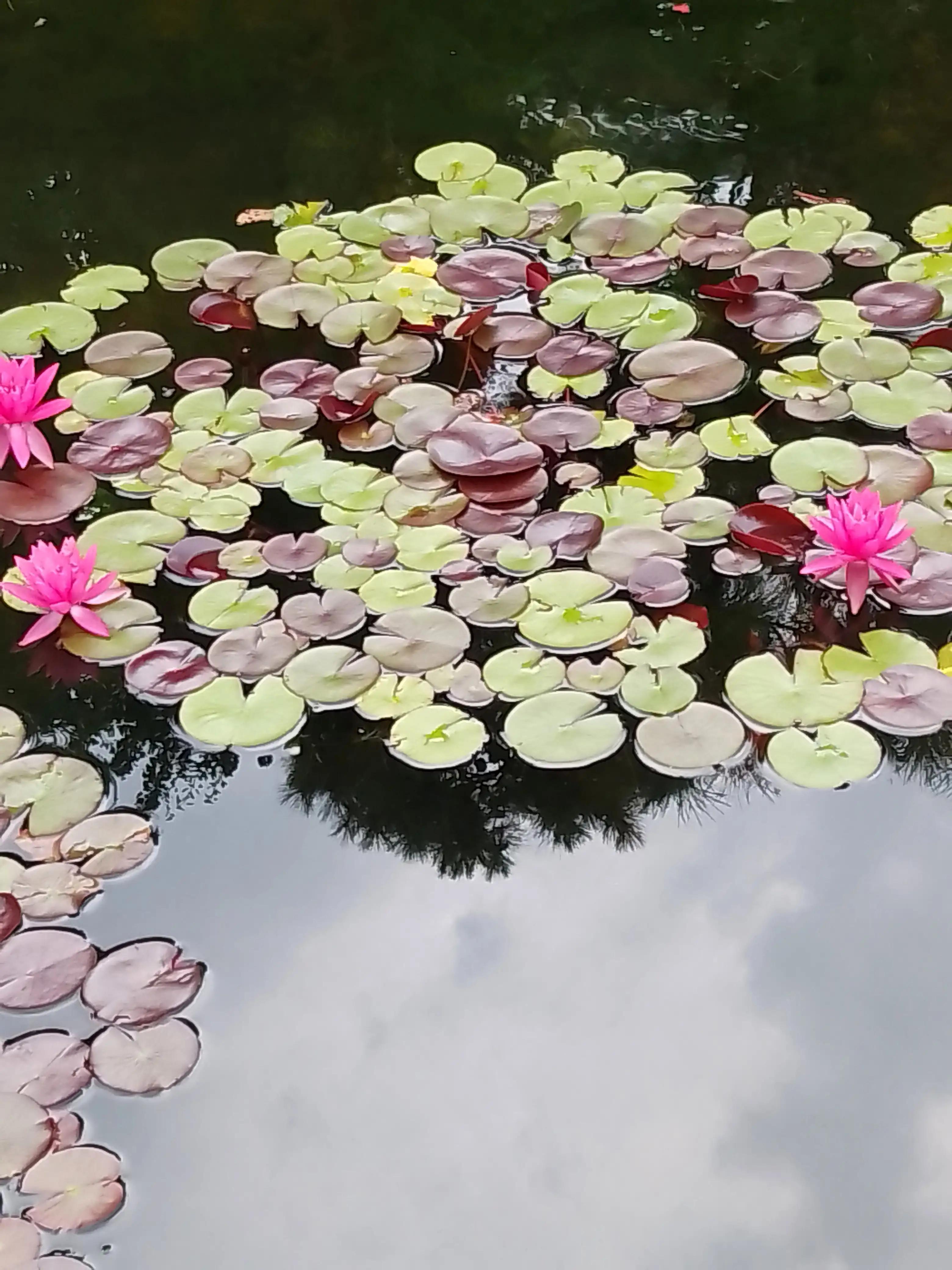 孤独寂寞随笔100字,一个人很寂寞随笔