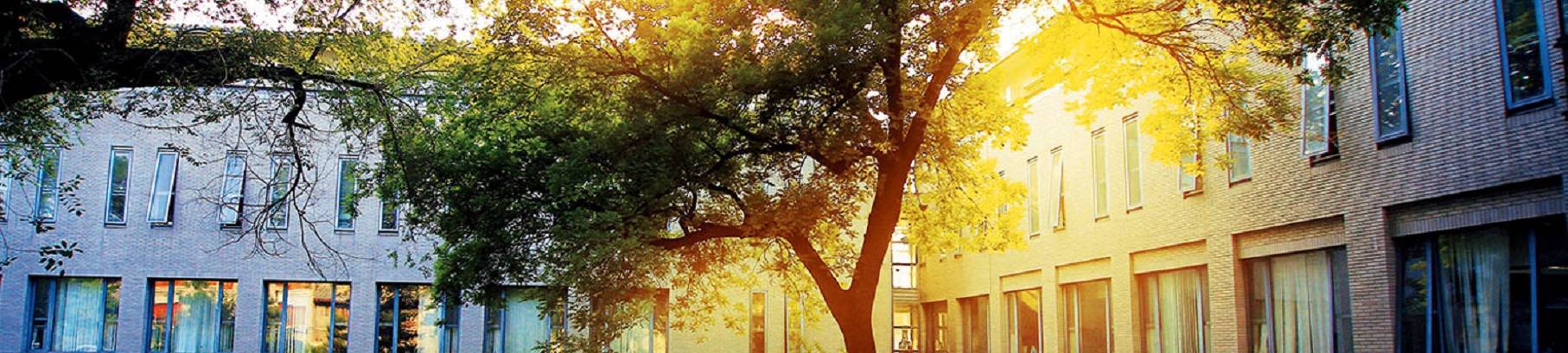 美国西雅图城市大学管理学博士学位课程信息