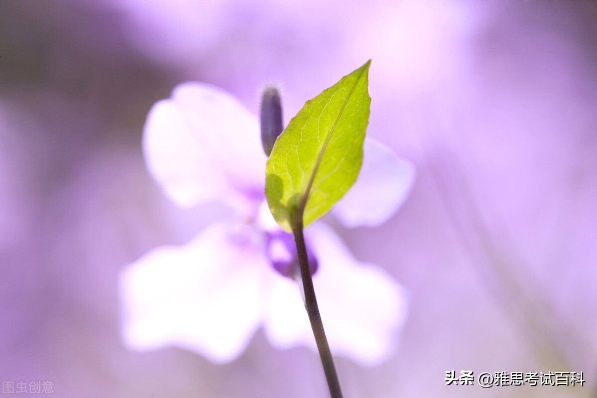 如果对成绩有异议怎么办,如果对考试成绩有质疑该怎么办