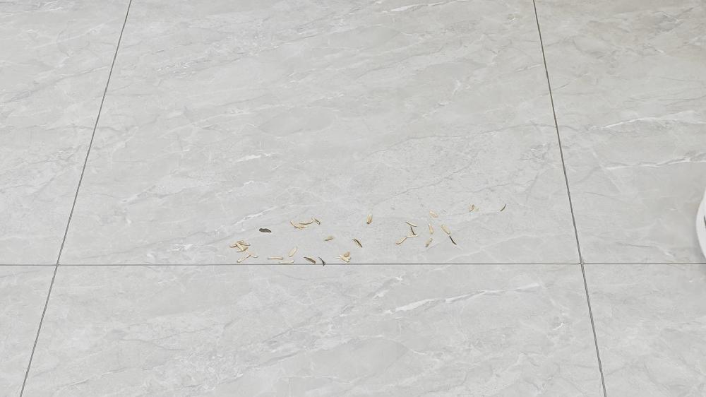 618石头p10能降价多少,618选购指南布艺沙发