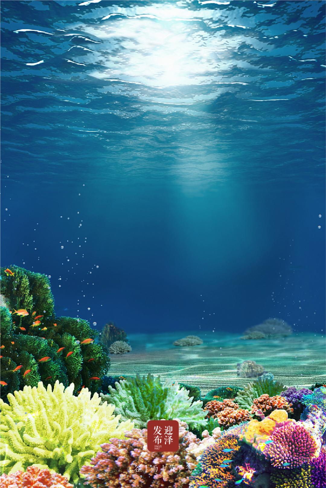 二十四节气之谷雨春光晓,24节气初夏的特点