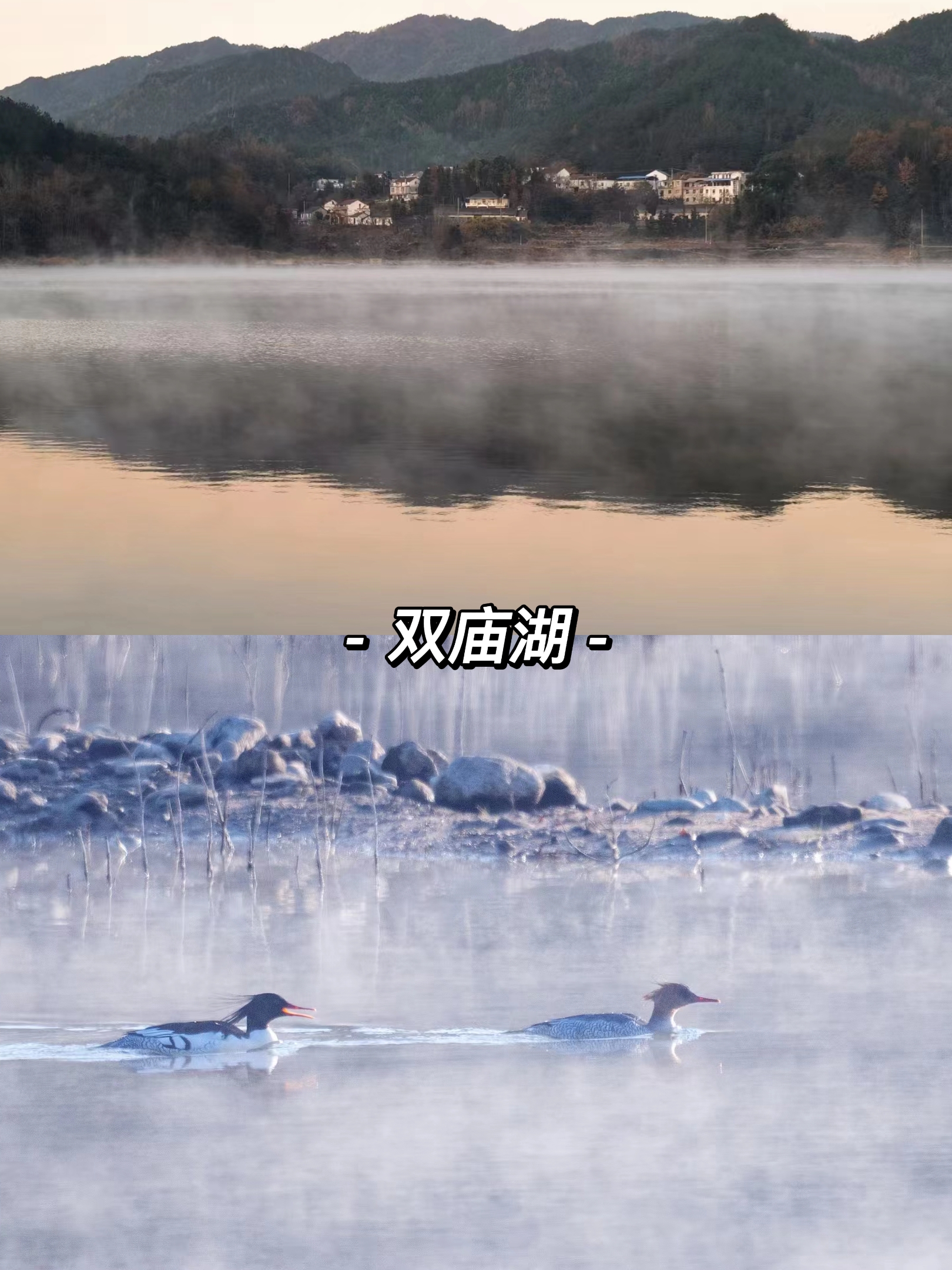 合肥周边有哪些适合自驾游的地,合肥3-5天短途自驾旅游推荐