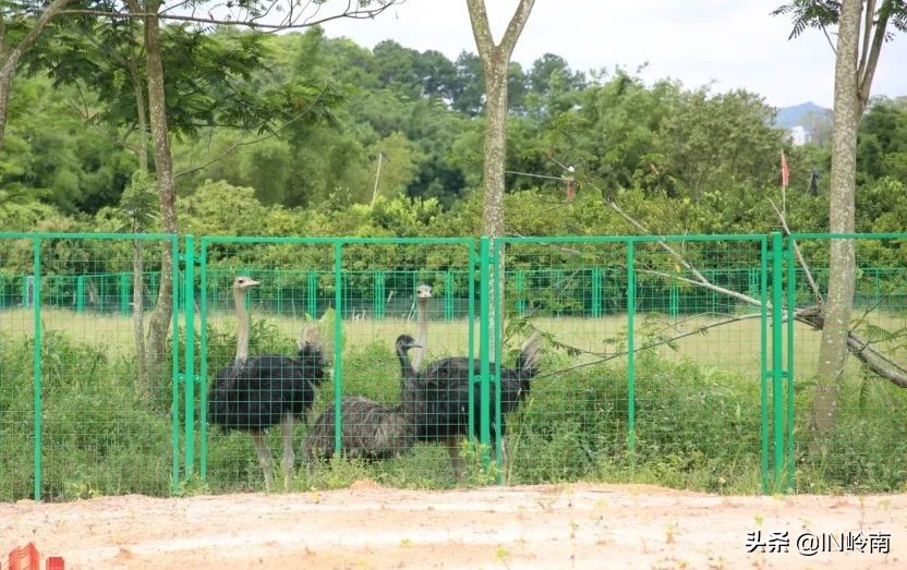 音乐潮玩市集白云公园站,潮玩街区音乐集市仁寿
