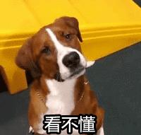 沙雕搞笑表情包头像,沙雕搞笑表情包图片静图