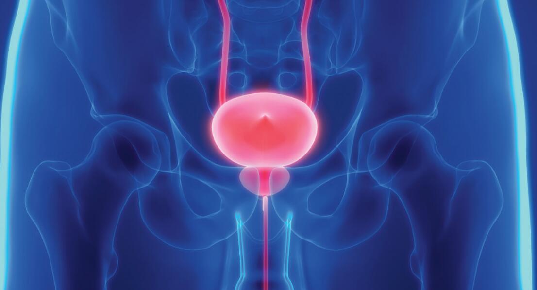 进入女性体内后，没有成功受精的精子,都去哪了?答案可能超乎想象