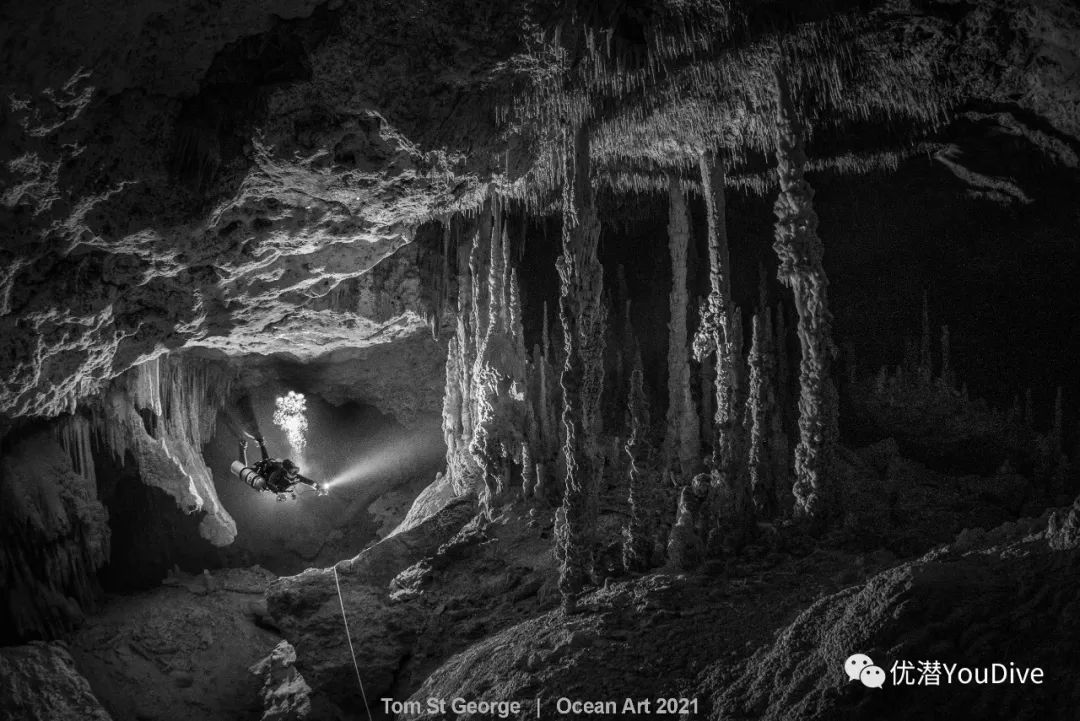 大海水下摄影作品欣赏,oceanart