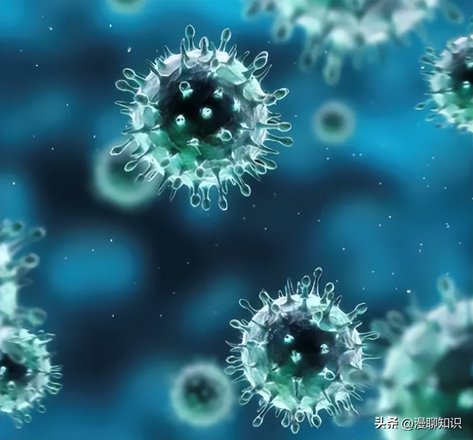 马传染性子宫炎传染性较强，它的传播途径有哪些