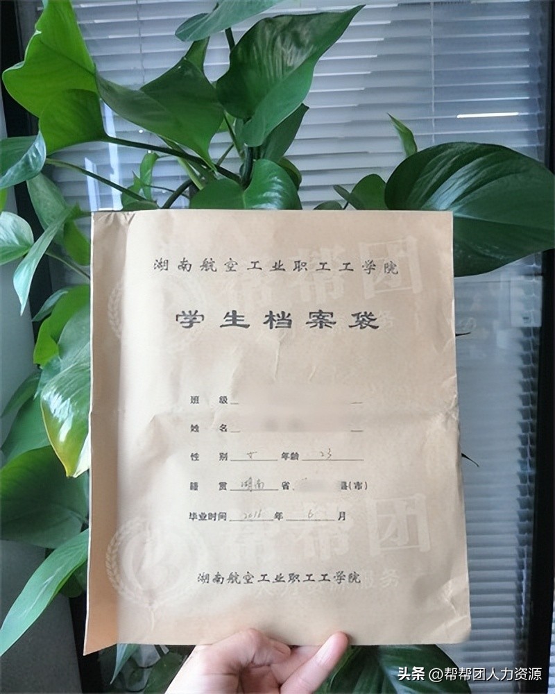档案死档了激活需要哪些材料,死档案激活流程