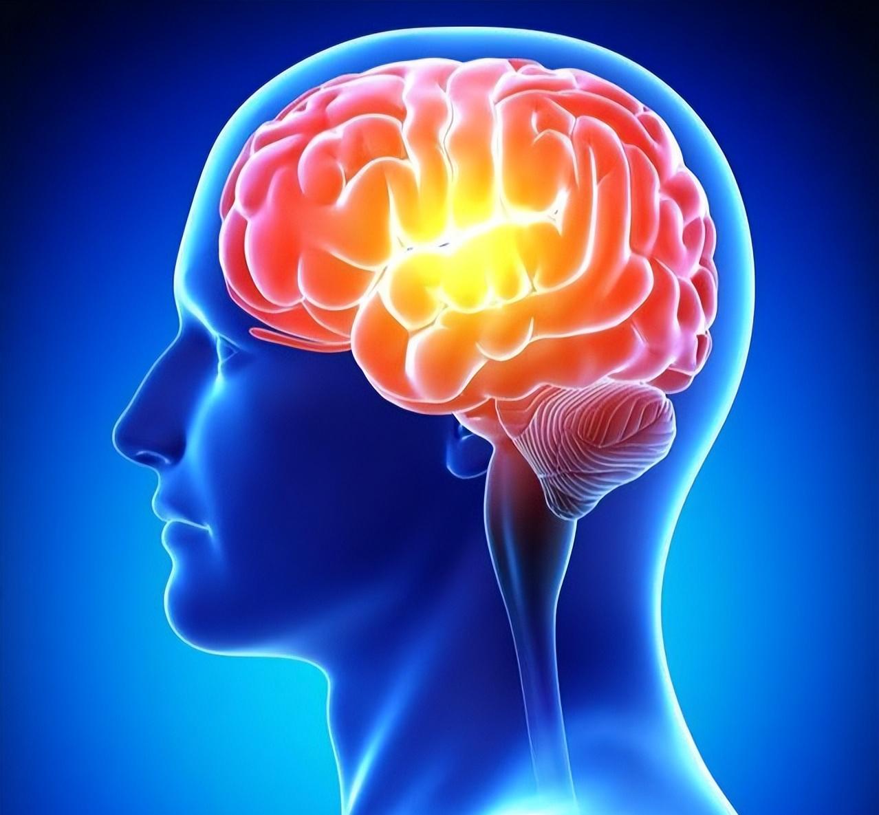 人被砍头后还有意识吗,为什么人被砍头后还能动