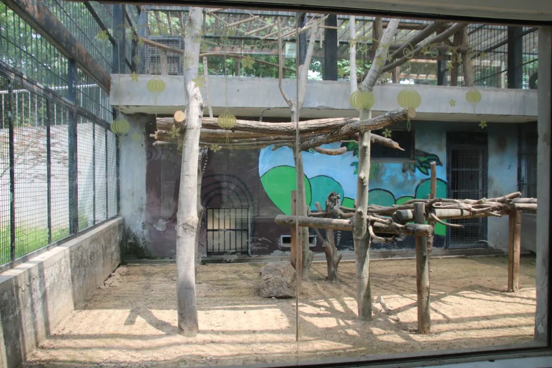 淮安动物园位置,淮安动物园多大面积