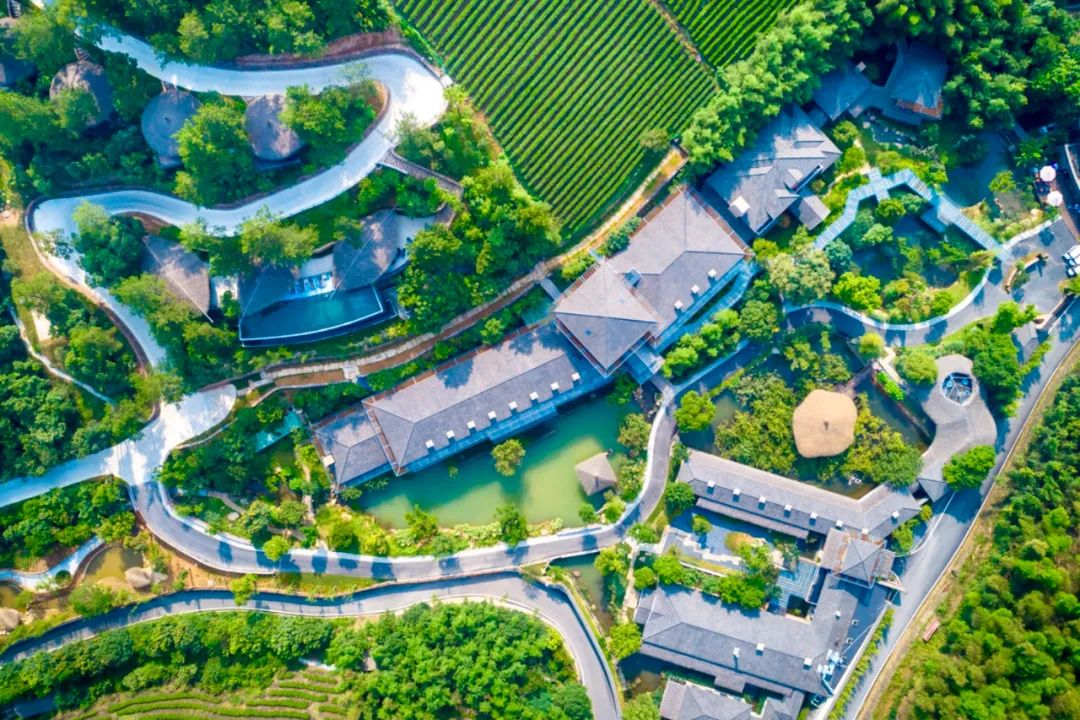 安吉旅游度假,安吉好玩还是千岛湖好玩