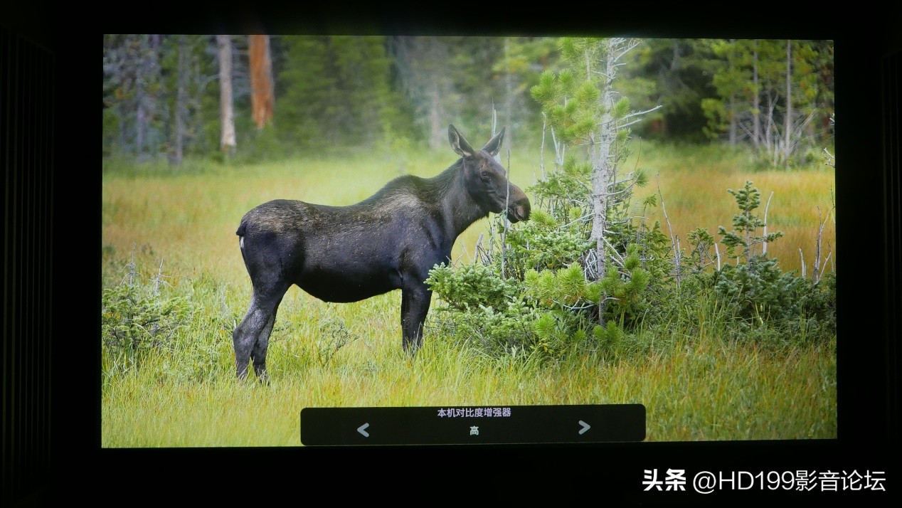 明基ht4550和W4000,明基ht4550对比tw700