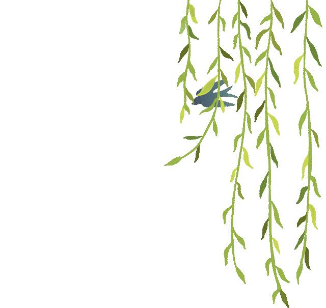 检察司法理念变革,检察变革四年