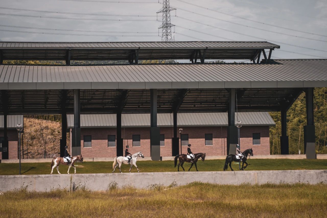 国内知名木屋营地,顶级浪漫营地