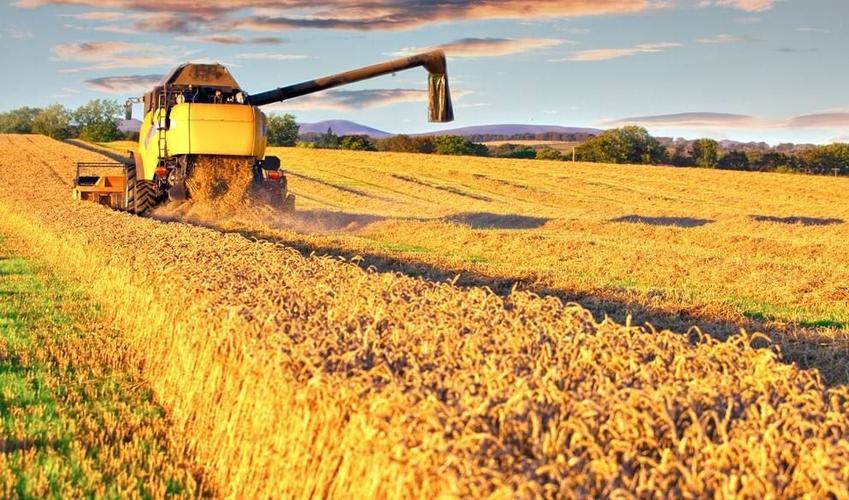 农业资源高效利用与生态环境保护,农业生态保护与经济社会发展