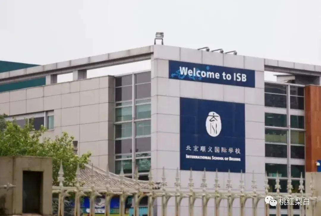 要多少钱才可以培养一个黄多多,培养一个黄多多需要多少钱