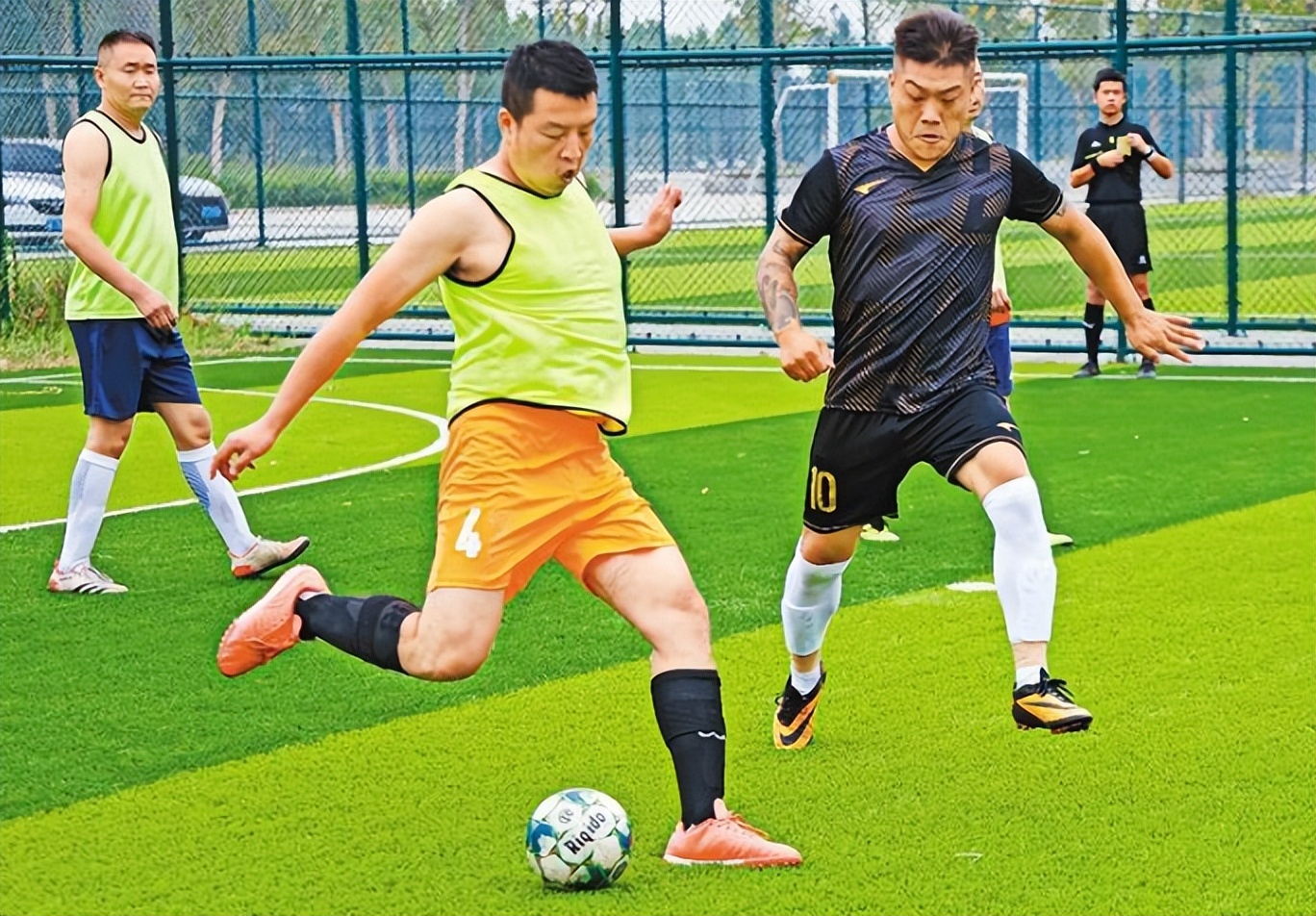 鄠邑区金丝猴自然保护区,西安鄠邑区发现金丝猴