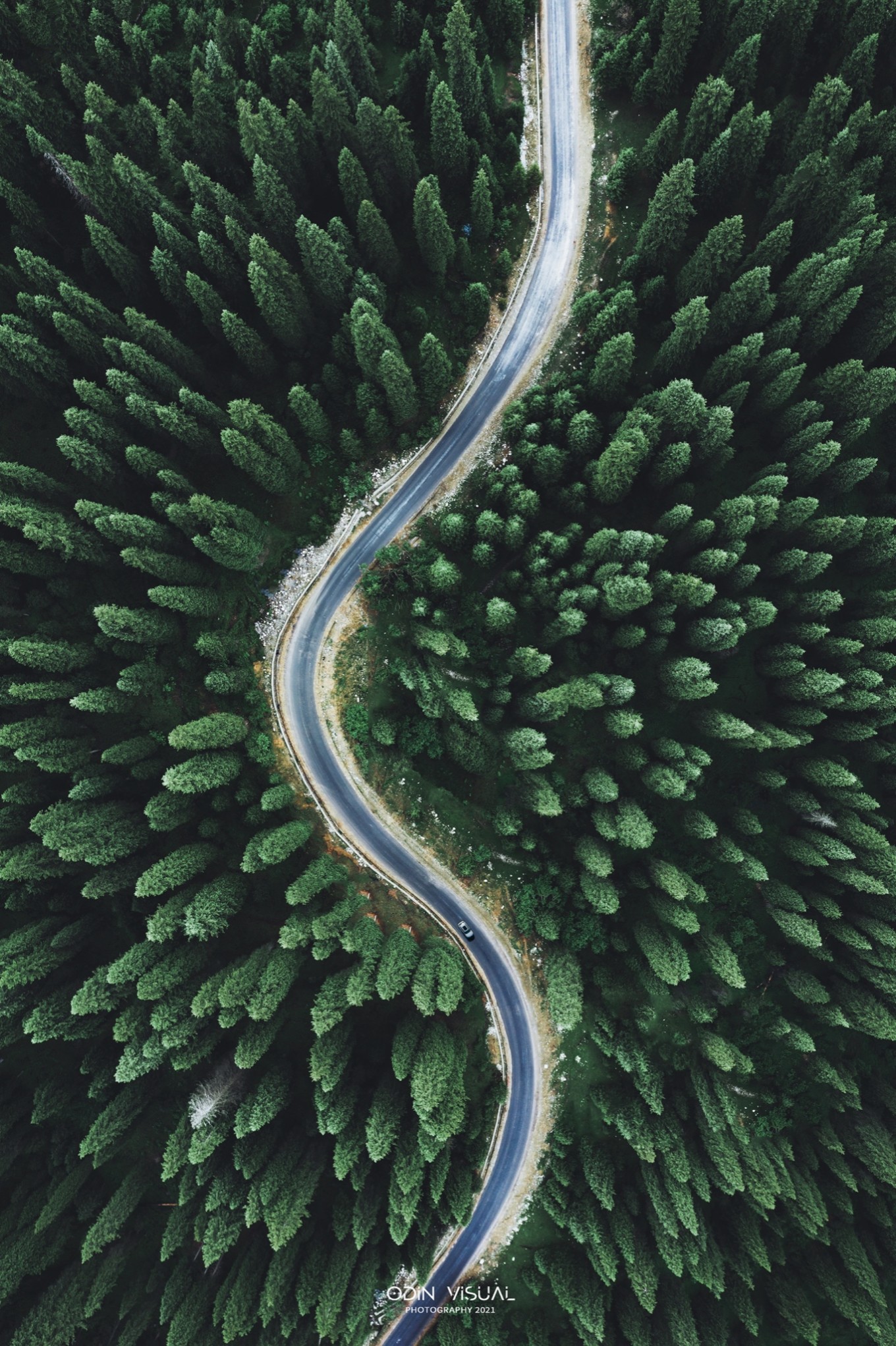 新疆伊犁之美,走了一圈才发现世界万物远不及你