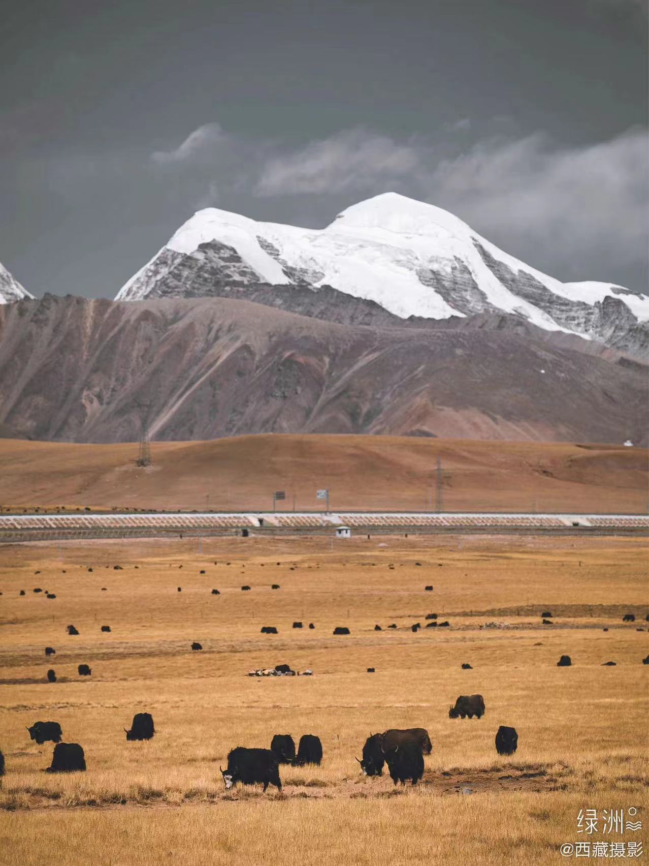 不来青藏怎知河山壮美,不来西藏都不知道冬天有多冷