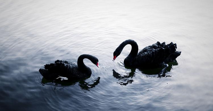 广州长隆酒店童趣乐园,广州游玩长隆性价比超高的酒店