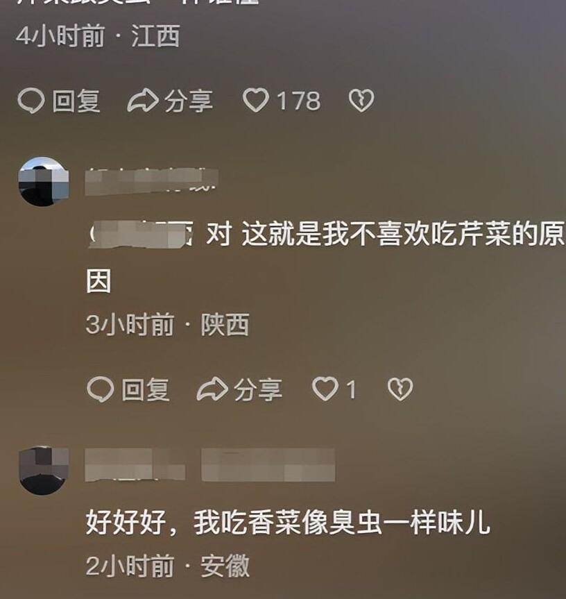 孩子不喜欢吃蔬菜补充点什么,三岁孩子不喜欢吃蔬菜