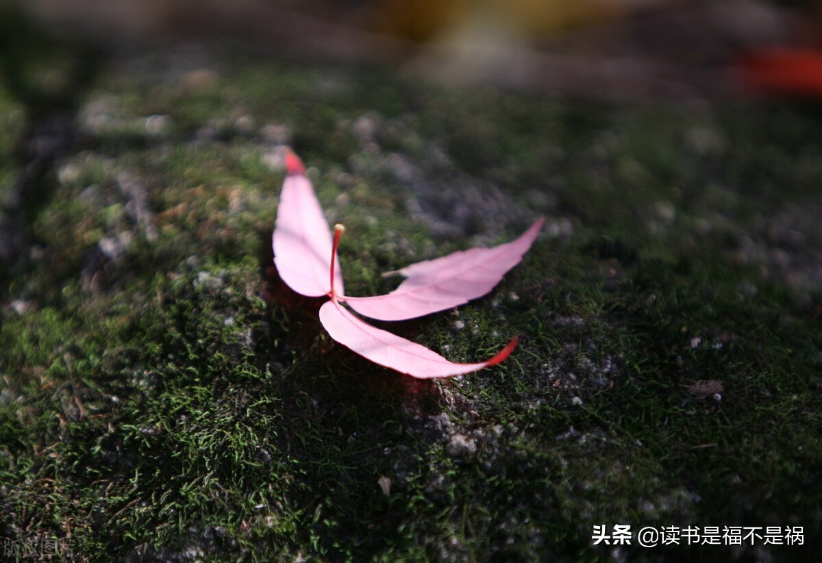 国学经典之三国志导读第六十讲,国学经典导读第二版