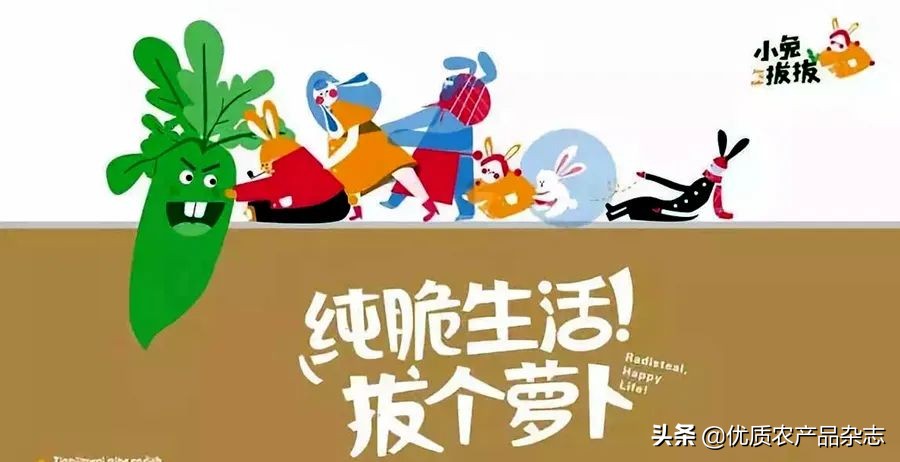 “卜”同凡响的田水铺萝卜