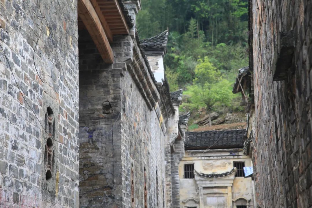 跟着chatgpt学习,跟着gps去旅行