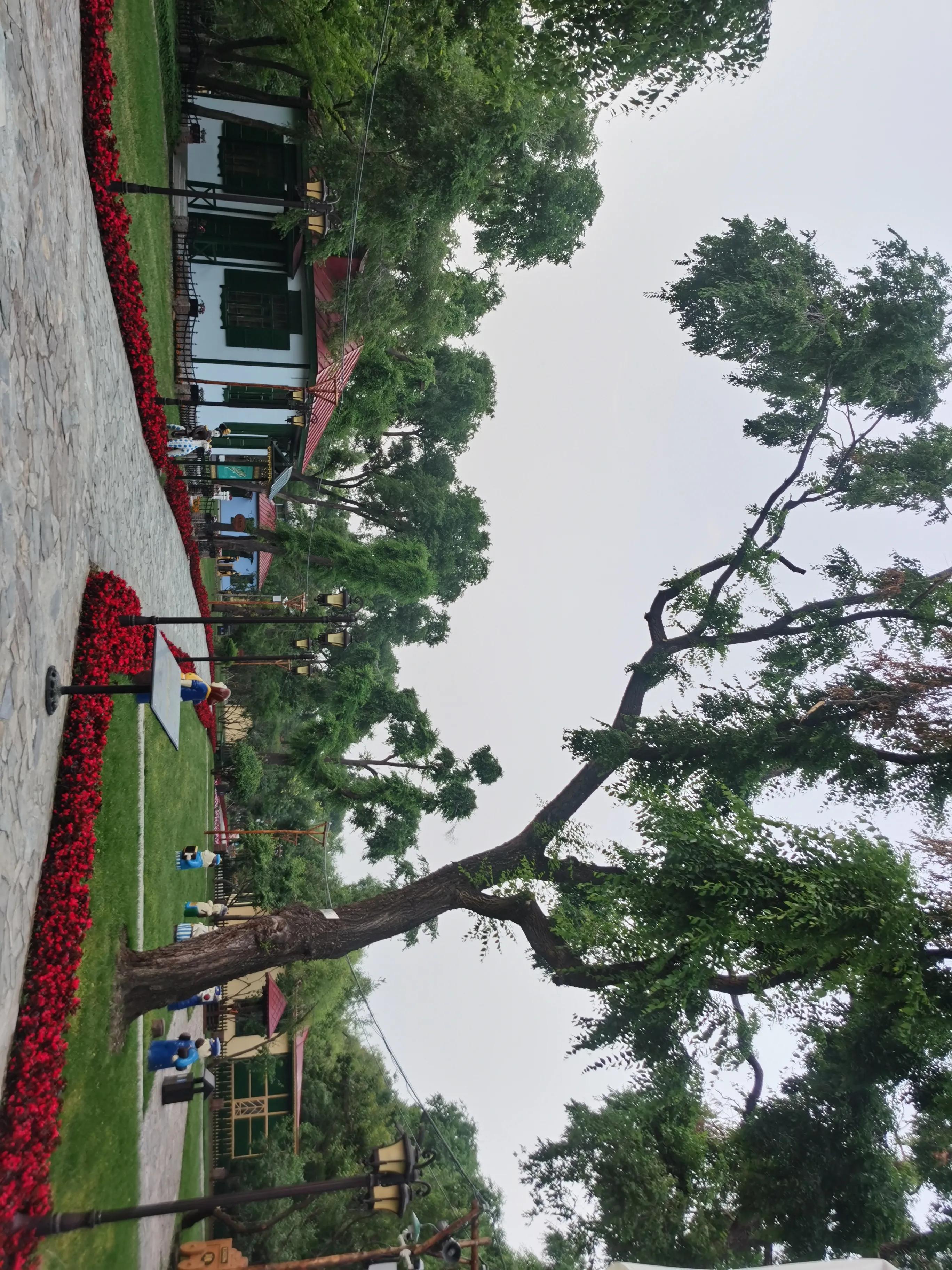 哈尔滨太阳岛一日游详细攻略,哈尔滨太阳岛风景区