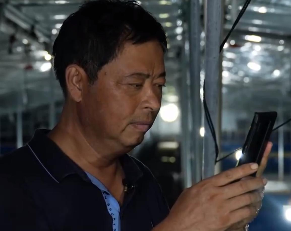 甲鱼养殖大棚建造图,温室大棚养甲鱼一亩能挣多少钱