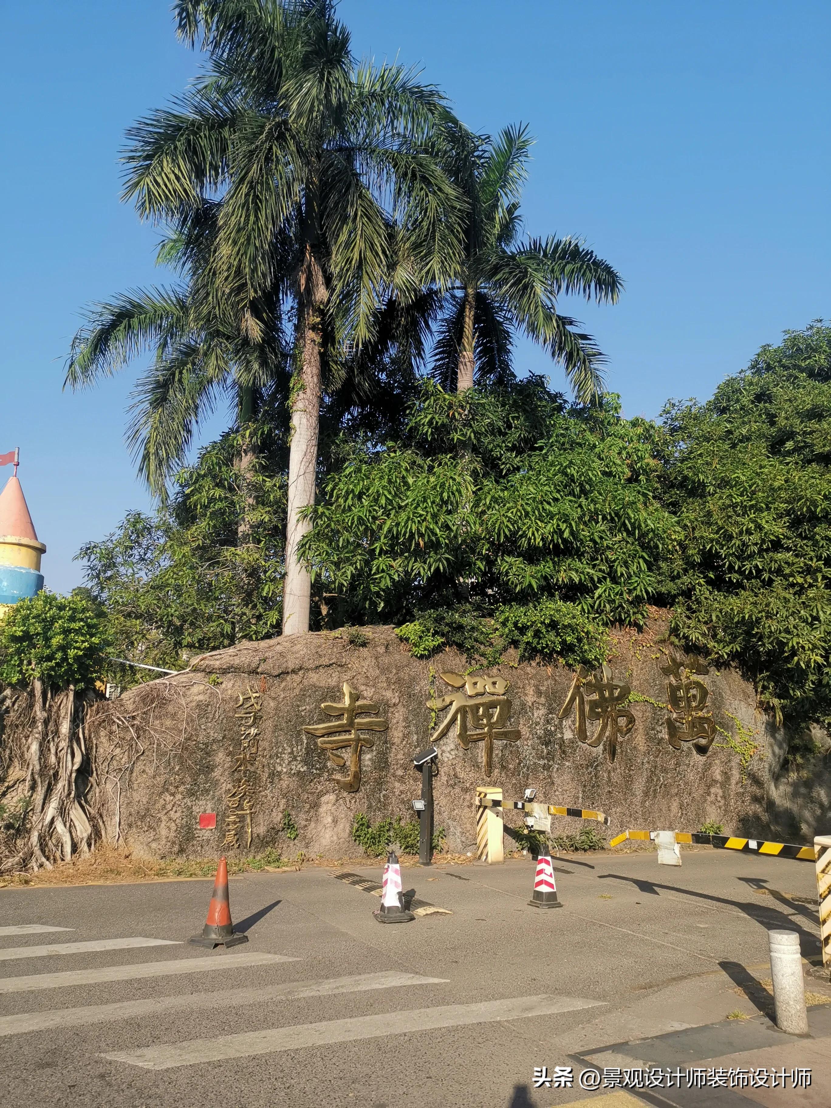 深圳市东湖公园广场舞,深圳市东湖公园收费标准