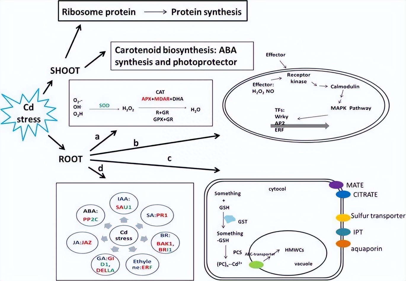 如何使用EOSM290机器，在不同加工条件中，制造出极端形状的薄壁