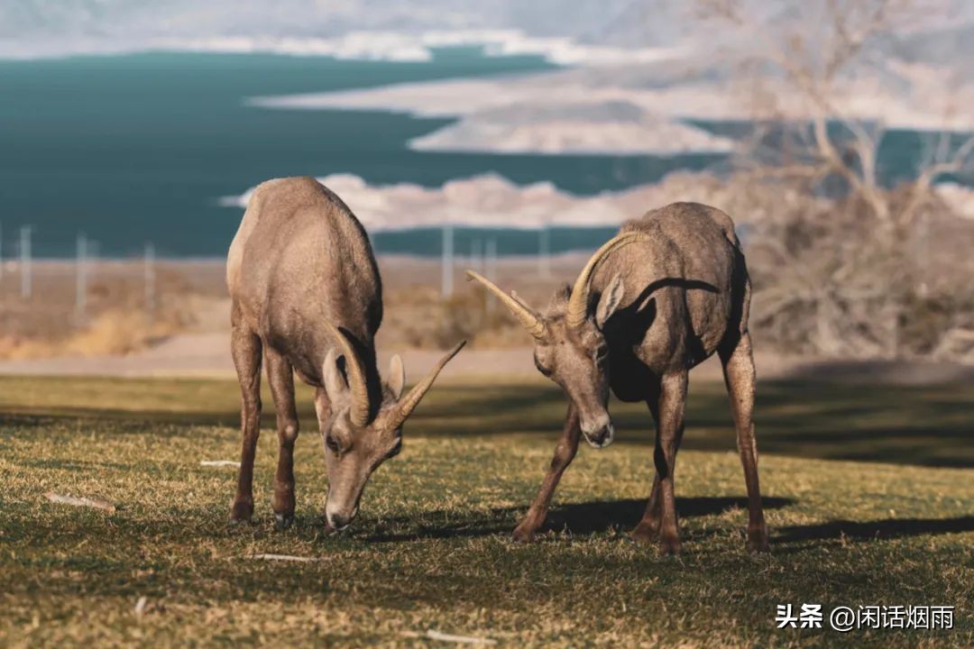 论赌之一——天下谁人不知赌