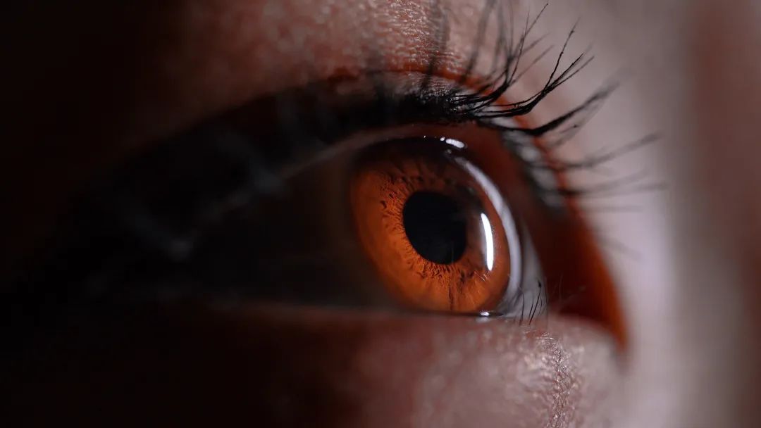 眼皮抬不起来吃什么药,眼皮抬不起来啥病