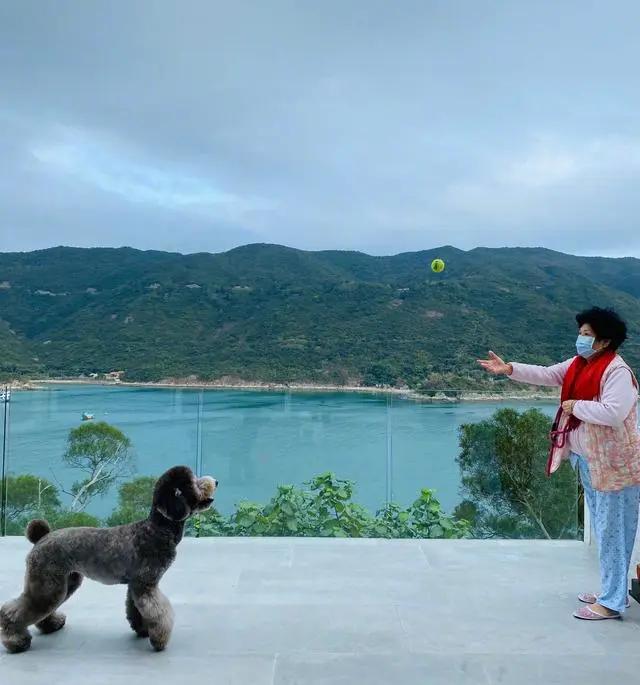 陈伟霆豪宅视频完整版,陈伟霆豪宅