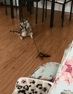 想要知道商品价格用什么扫,你想知道你是什么消费群体吗