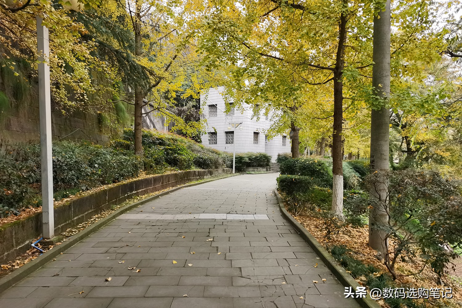 荣耀v30pro和苹果6sp哪个拍照好,华为nova5ipro跟荣耀v30pro哪个好