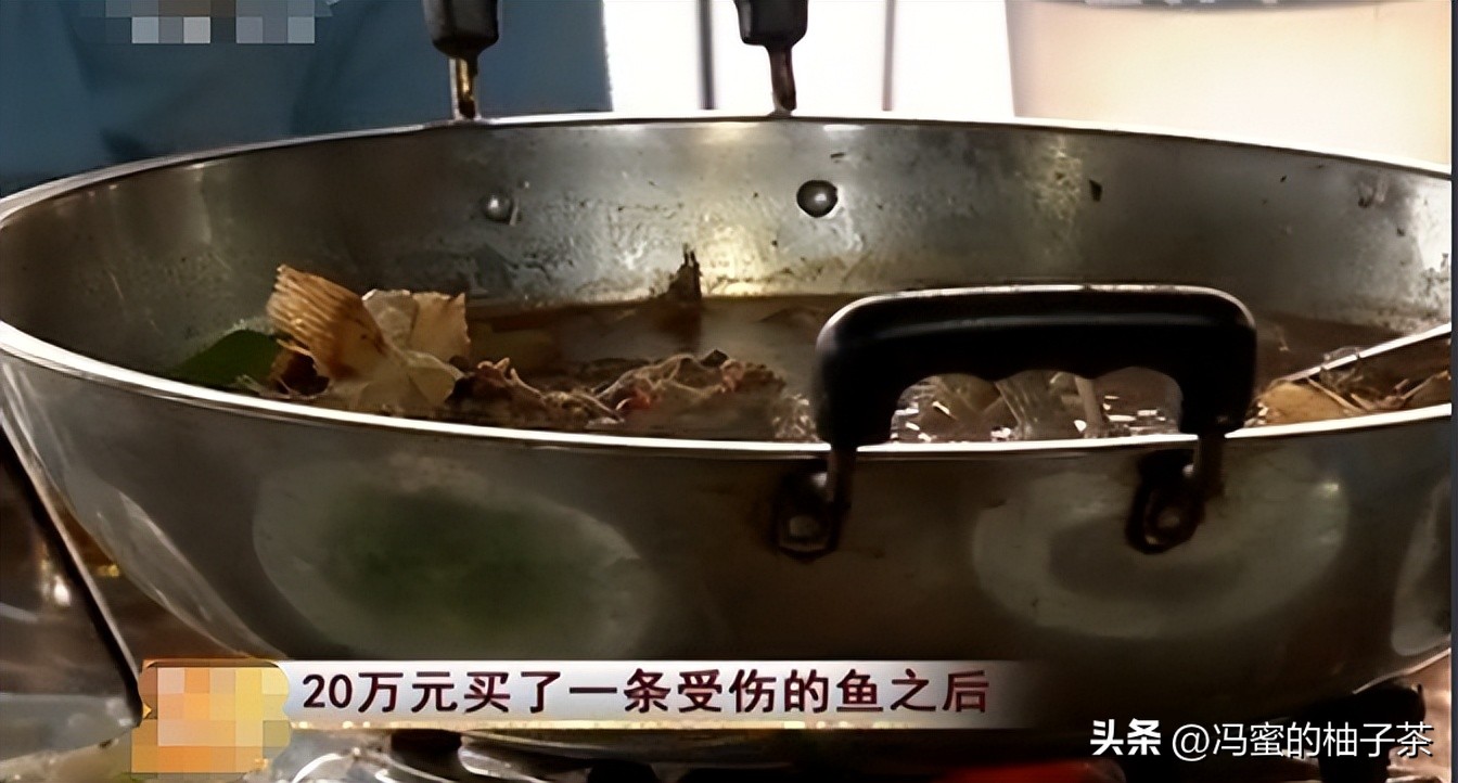 男子花13万买的鱼因停电缺氧死亡,男子花20万买一条受伤鲶鱼后续