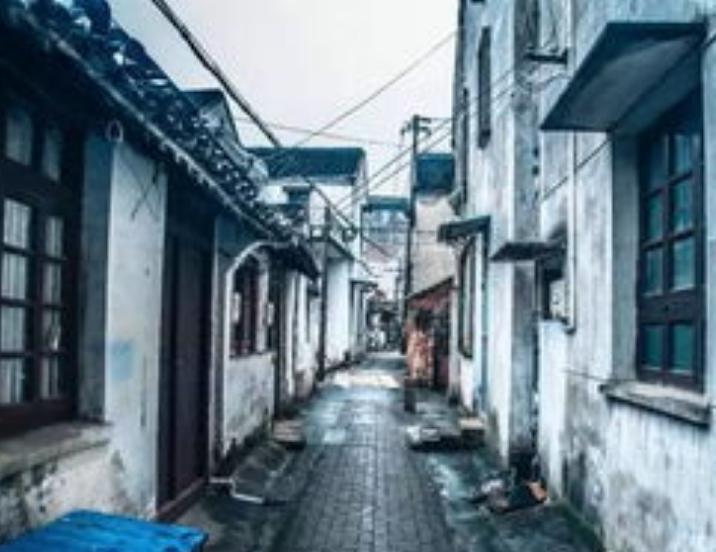 张世强浦江,浦江张世强诈骗案过程