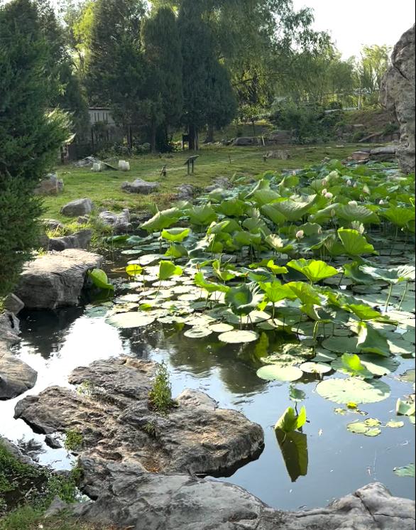 暑期实践日志1500字,暑期夏令营志愿者实践日志